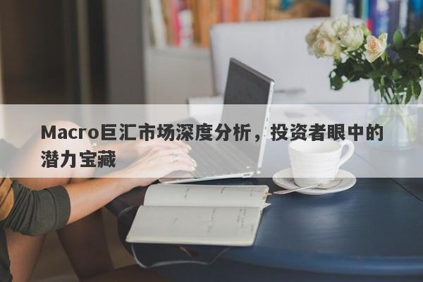 Macro巨汇市场深度分析，投资者眼中的潜力宝藏