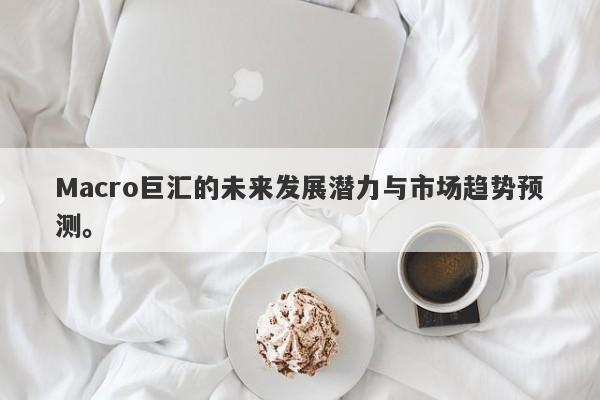 Macro巨汇的未来发展潜力与市场趋势预测。