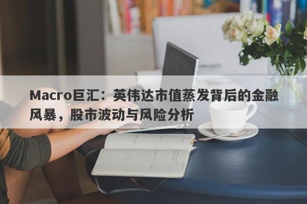 Macro巨汇：英伟达市值蒸发背后的金融风暴，股市波动与风险分析