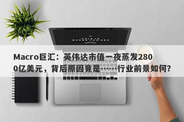 Macro巨汇：英伟达市值一夜蒸发2800亿美元，背后原因竟是……行业前景如何？