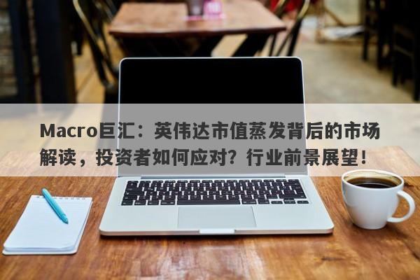 Macro巨汇：英伟达市值蒸发背后的市场解读，投资者如何应对？行业前景展望！