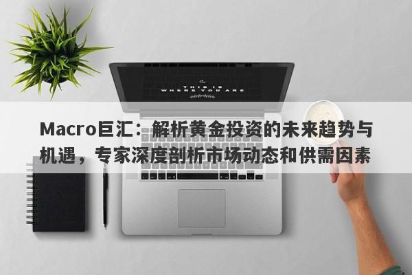Macro巨汇：解析黄金投资的未来趋势与机遇，专家深度剖析市场动态和供需因素