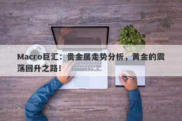 Macro巨汇：贵金属走势分析，黄金的震荡回升之路！