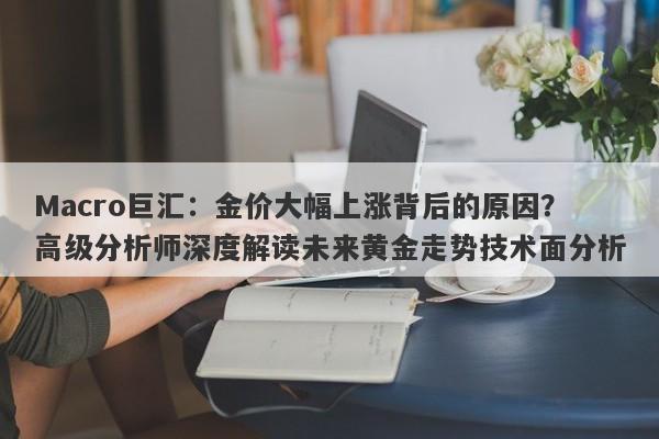 Macro巨汇：金价大幅上涨背后的原因？高级分析师深度解读未来黄金走势技术面分析