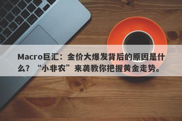 Macro巨汇：金价大爆发背后的原因是什么？“小非农”来袭教你把握黄金走势。