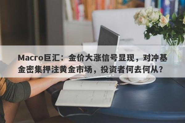 Macro巨汇：金价大涨信号显现，对冲基金密集押注黄金市场，投资者何去何从？