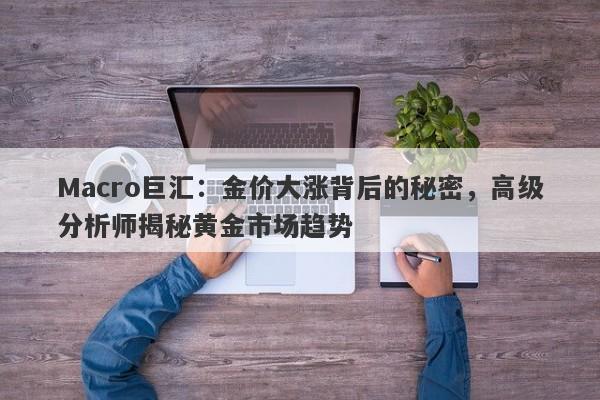 Macro巨汇：金价大涨背后的秘密，高级分析师揭秘黄金市场趋势
