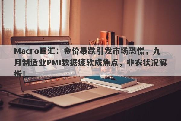 Macro巨汇：金价暴跌引发市场恐慌，九月制造业PMI数据疲软成焦点，非农状况解析！