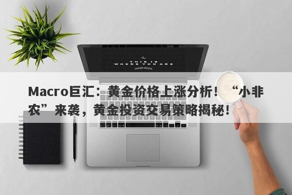 Macro巨汇：黄金价格上涨分析！“小非农”来袭，黄金投资交易策略揭秘！