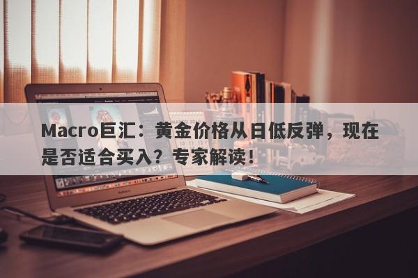 Macro巨汇：黄金价格从日低反弹，现在是否适合买入？专家解读！