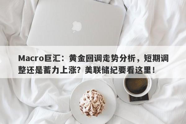Macro巨汇：黄金回调走势分析，短期调整还是蓄力上涨？美联储纪要看这里！