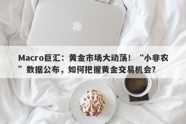 Macro巨汇：黄金市场大动荡！“小非农”数据公布，如何把握黄金交易机会？