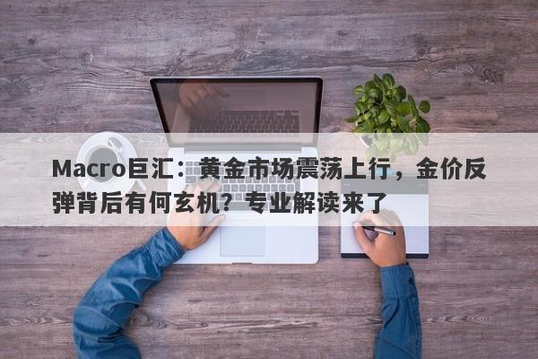 Macro巨汇：黄金市场震荡上行，金价反弹背后有何玄机？专业解读来了